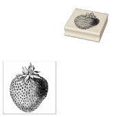 Tampons Encreurs Botanique aux fraises anciennes (Tamponné)