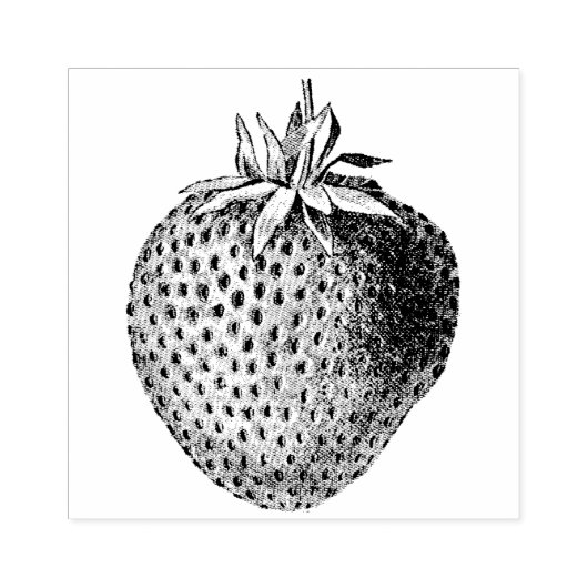 Tampons Encreurs Botanique aux fraises anciennes (Impression)