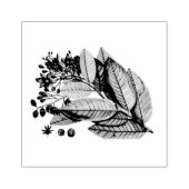 Tampons Encreurs Bouquet de fleurs de feuillage feuille (Impression)