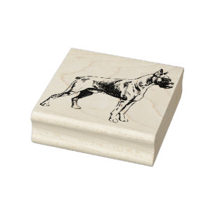 Tampons Encreurs Boxe