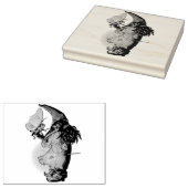 Tampons Encreurs Brille (Tamponné)