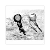 Tampons Encreurs Brunner Pouter Pigeons (Impression)