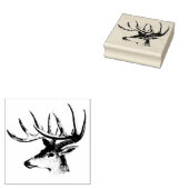 Tampons Encreurs Buck Head (Tamponné)