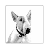 Tampons Encreurs Bull Terrier (Impression)