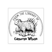 Tampons Encreurs Capybara De La Bibliothèque De, Livre (Impression)