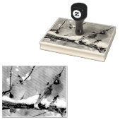 Tampons Encreurs cardinaux hommes et femmes (Tamponné)