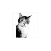 Tampons Encreurs Cat (Impression)