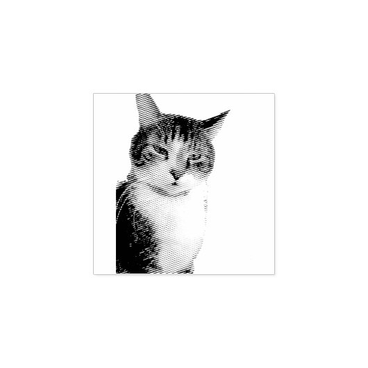 Tampons Encreurs Cat (Impression)