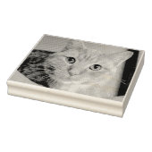 Tampons Encreurs Cat (Tampon)