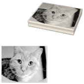 Tampons Encreurs Cat (Tamponné)