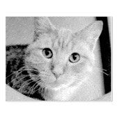 Tampons Encreurs Cat (Impression)