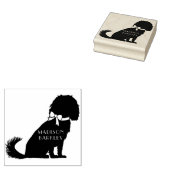 Tampons Encreurs Cavalier King Charles Spaniel Chien Chien Chien Ch (Tamponné)