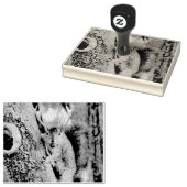 Tampons Encreurs Cerf écureuil (Tamponné)