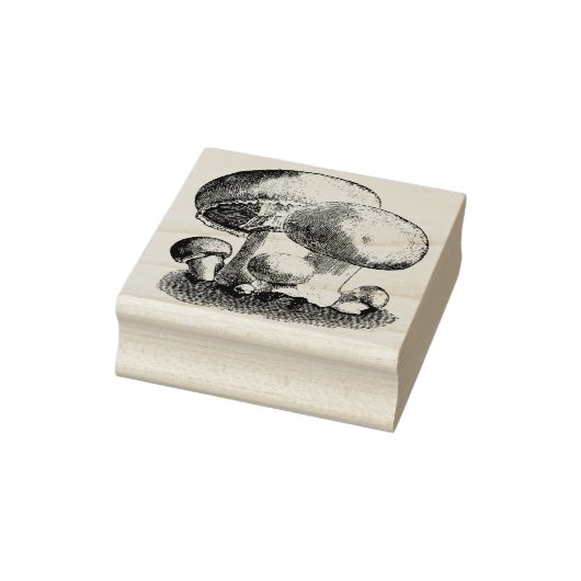 Tampons Encreurs Champignons (Tampon)