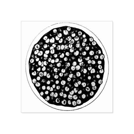 Tampons Encreurs Chana Masala Chole Indien nourriture Plat de pois  (Impression)