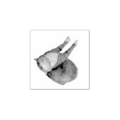 Tampons Encreurs Chat Soleil à l'Envers (Impression)