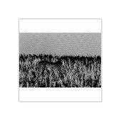 Tampons Encreurs Cheetah (Impression)