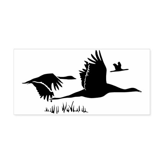 Tampons Encreurs Cheptel d'oies (Impression)