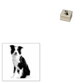 Tampons Encreurs Chien Chiot Border Collie (Tamponné)
