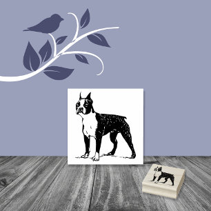 Tampons Encreurs Chien de Boston Terrier race
