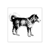 Tampons Encreurs Chien de Sibérie Husky (Impression)