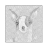 Tampons Encreurs Chihuahua (Impression)