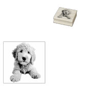 Tampons Encreurs Chiot de Doodle Doré (Tamponné)