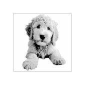 Tampons Encreurs Chiot de Doodle Doré (Impression)