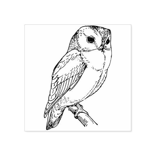 Tampons Encreurs Chouette (Impression)