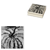 Tampons Encreurs Citrouille orange (Tamponné)