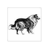 Tampons Encreurs Collie Chien race (Impression)