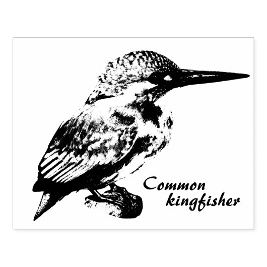 Tampons Encreurs Common kingfisher (Impression)