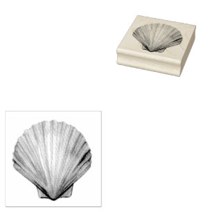 Tampons Encreurs Coquillage, Coquille de Saint-Jacques, Timbre en c