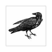 Tampons Encreurs Corbeau | Timbre (Impression)