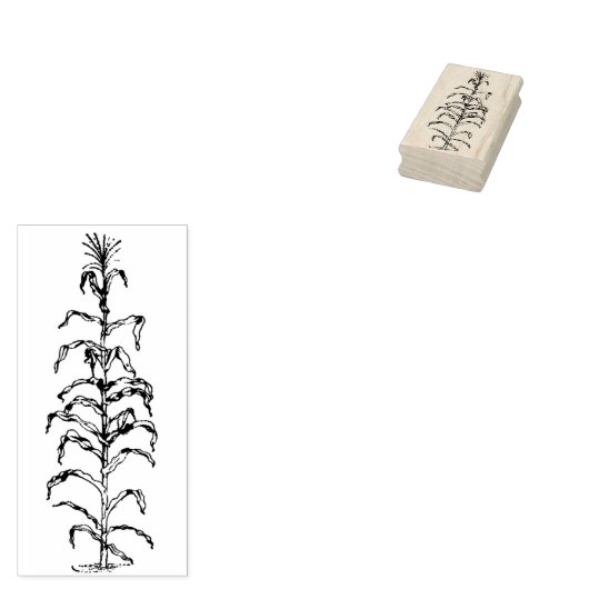 Tampons Encreurs Corn Stalk (Tamponné)