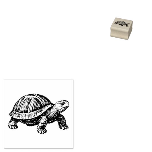 Tampons Encreurs Créatures Tortues Reptile (Tamponné)