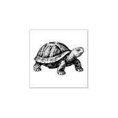 Tampons Encreurs Créatures Tortues Reptile (Impression)
