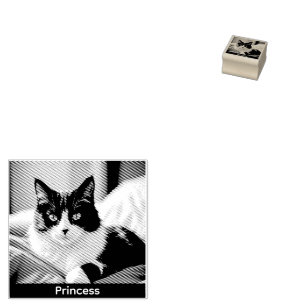 Tampons Encreurs Créez votre propre photo de chat personnalisée