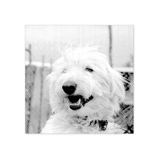 Tampons Encreurs Custom Pet Photo Etched Style (Impression)