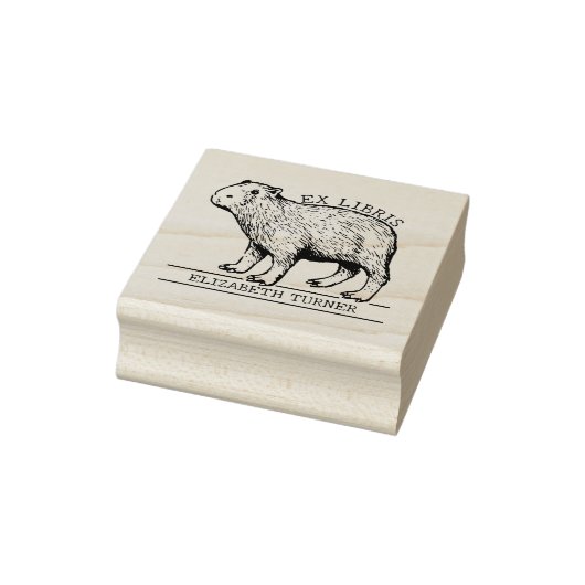 Tampons Encreurs Cute Capybara Ex Libris Livre (Tampon)