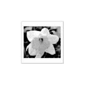 Tampons Encreurs Daffodique (Impression)