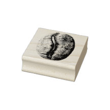 Dessin au crayon noir et blanc pour haricot