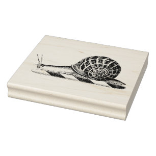 Tampons Encreurs Dessin Vintage d'Escargot