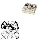 Tampons Encreurs Devonshire Ammonite spirale fossile (Tamponné)