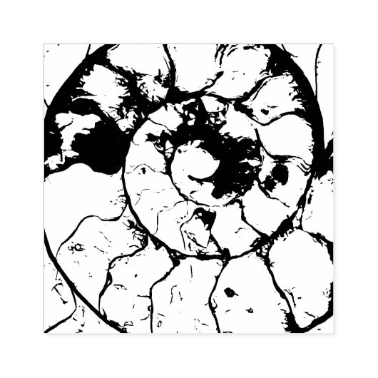 Tampons Encreurs Devonshire Ammonite spirale fossile (Impression)