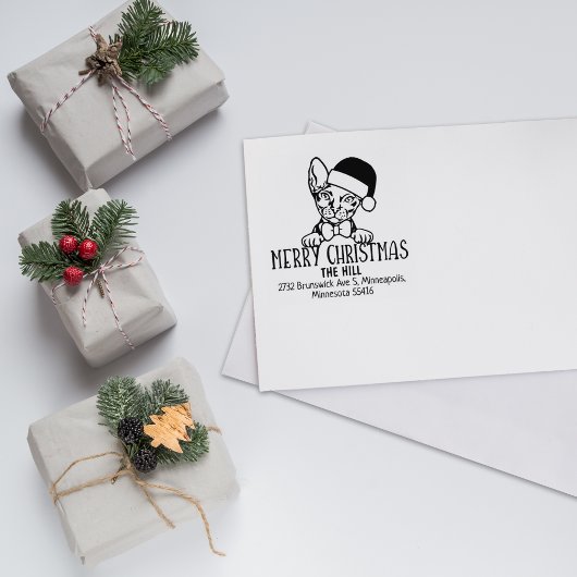 Tampons Encreurs Donskoy Chat Retour Adresse Noël