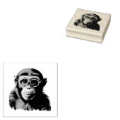 Tampons Encreurs drôle de singe (Tamponné)
