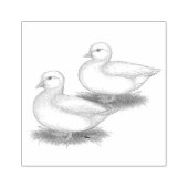 Tampons Encreurs Ducks : White Calls (Impression)