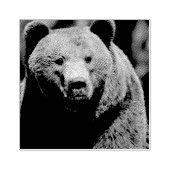 Tampons Encreurs ÉCRAN GRIZLY BEACH Wood Art (Impression)