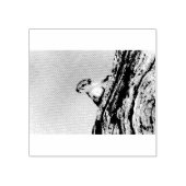 Tampons Encreurs Écureuil (Impression)